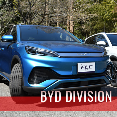 BYD DIVISION